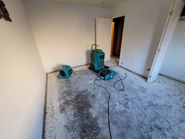  Park Falls, WI Water damage restoration Pros