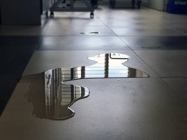Best Commercial water damage restoration  in Park Falls, WI