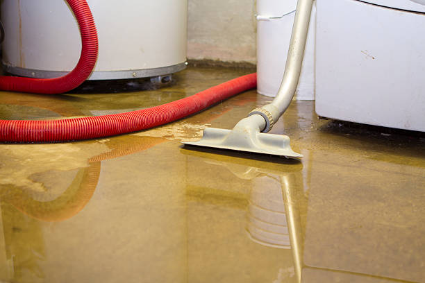 Best Flood damage cleanup  in Park Falls, WI