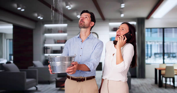 Best Water damage restoration near me  in Park Falls, WI