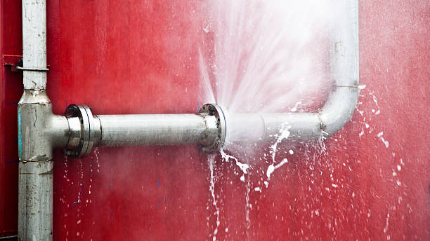 Best Water damage contractors near me  in Park Falls, WI