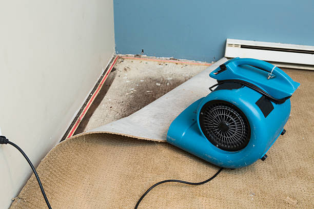 Best 24/7 water damage repair  in Park Falls, WI